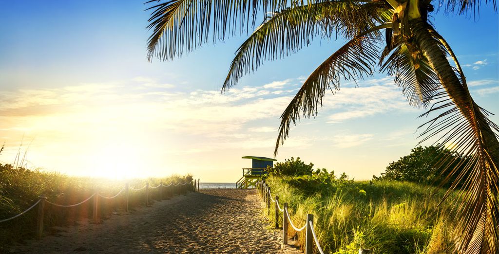 Pestana Miami South Beach 4* con possibile crociera alle Bahamas
