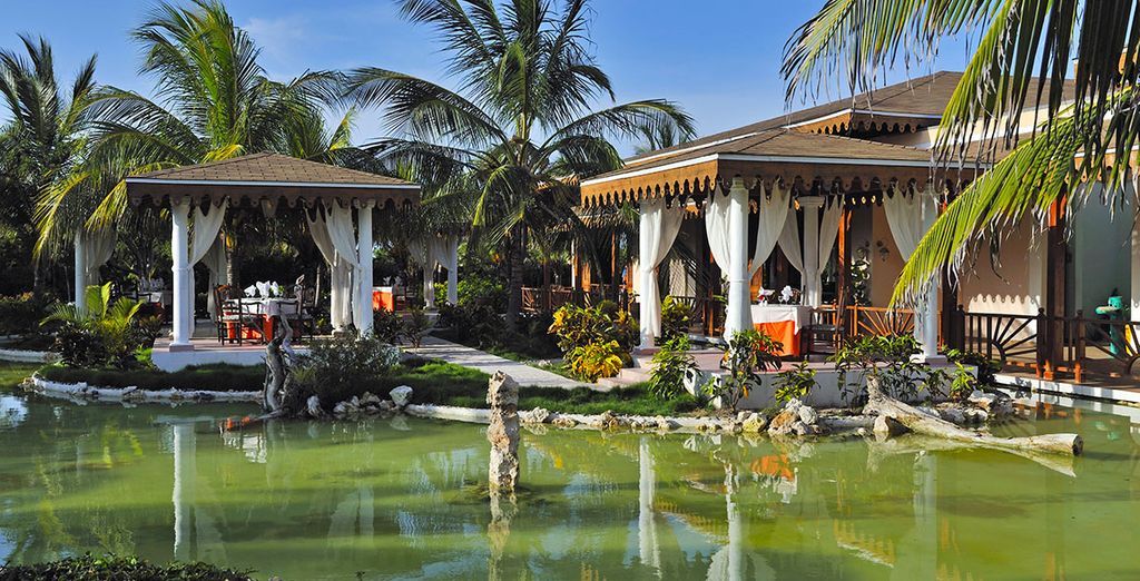 Casas Particulares a L'Avana, Trinidad + Melia Las Dunas Hotel 5*