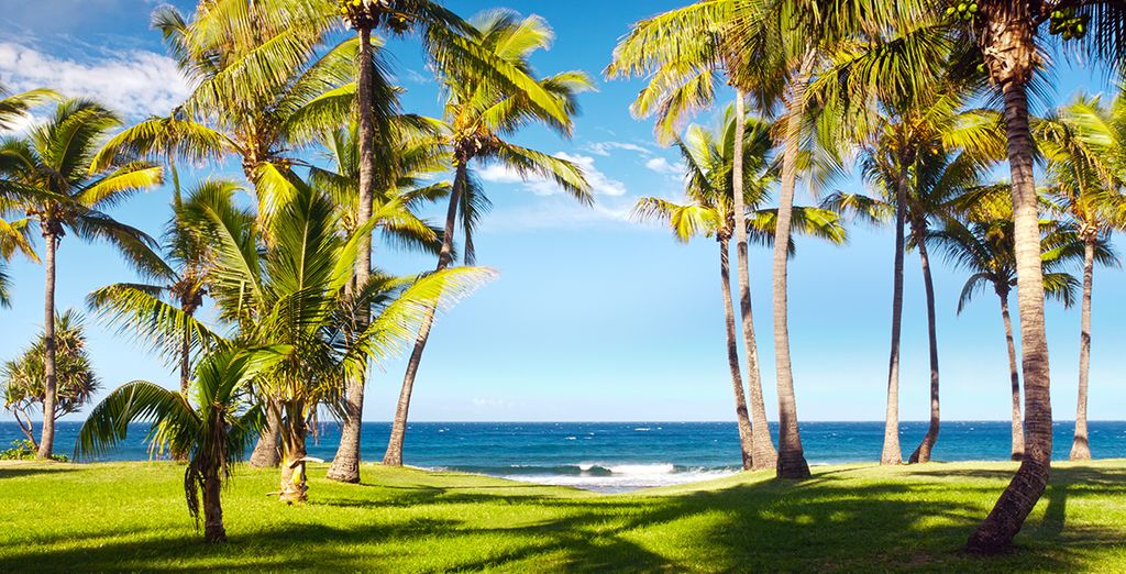 Palm Hotel & Spa 5* & Seasense Boutique Hotel & Spa 5*