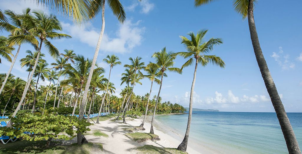 Hotel Grand Paradise Samana 4*