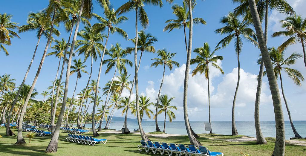 Hotel Grand Paradise Samana 4*