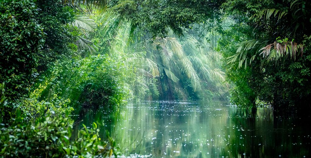 San José, Tortuguero, Arenal, Rincon de la Vieja e Guanacaste