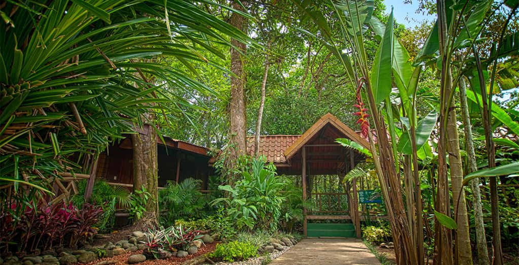 San José, Tortuguero, Arenal, Rincon de la Vieja e Guanacaste