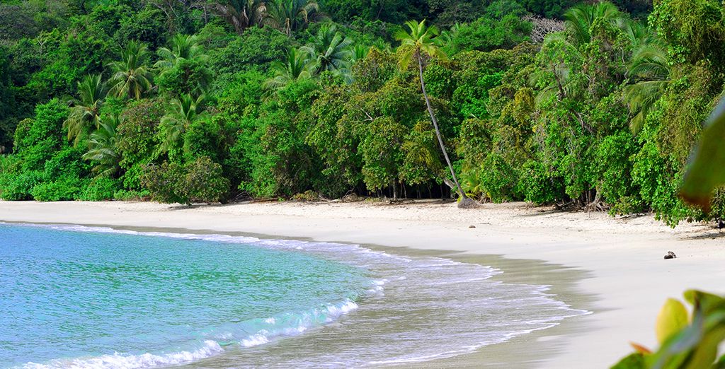 San José, Tortuguero, Arenal, Rincon de la Vieja e Guanacaste