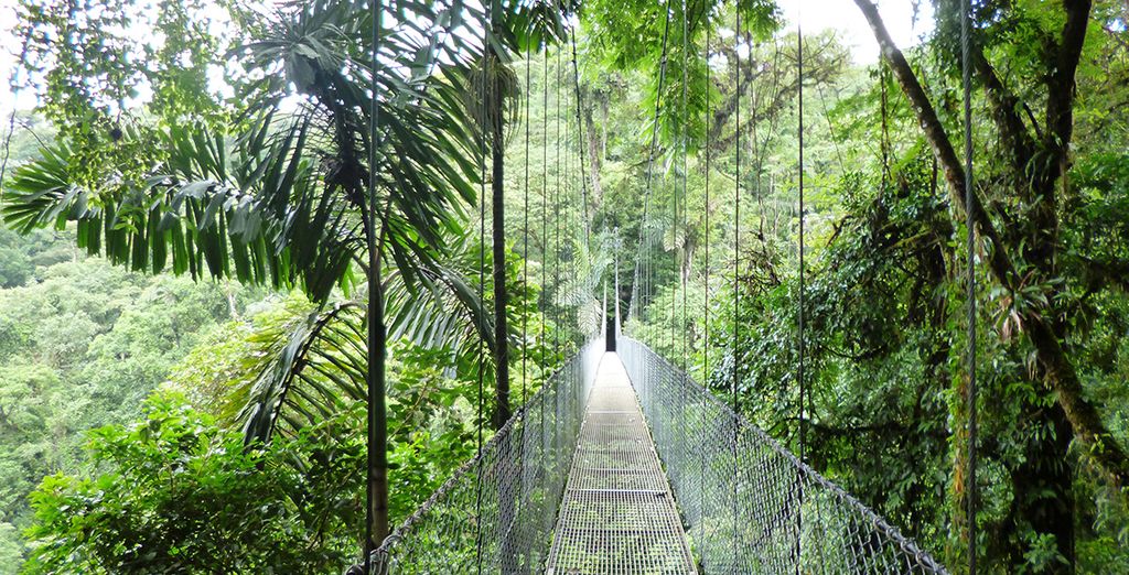 San José, Tortuguero, Arenal, Rincon de la Vieja e Guanacaste