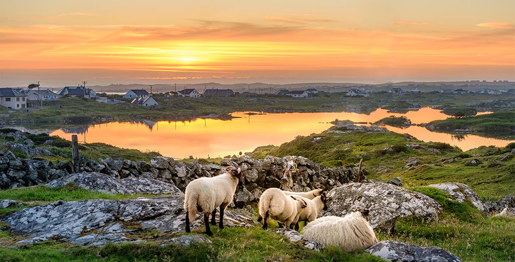 Tour dell'Irlanda