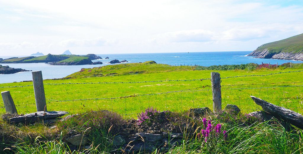 Fly & Drive alla scoperta dell'Irlanda