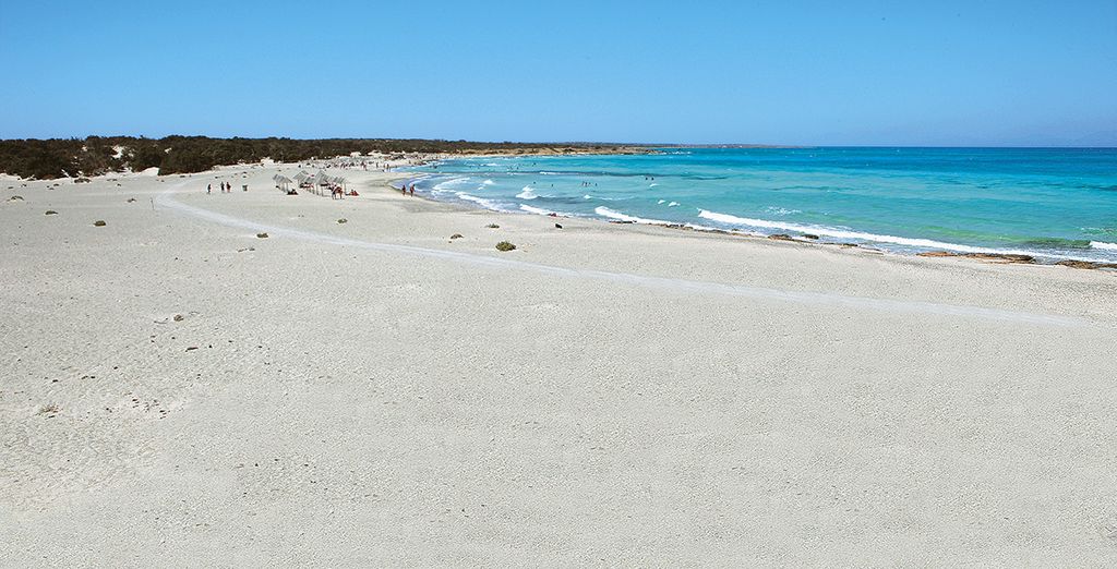 Dessole Malia Beach 4*