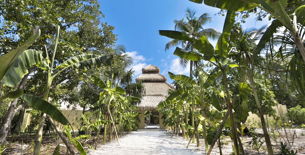 Emerald Maldives Resort & Spa 5* - Luxury Premium All Inclusive