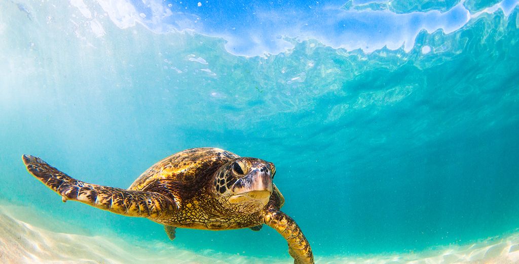 Tour alla scoperta del Madagascar tra natura e vulcani