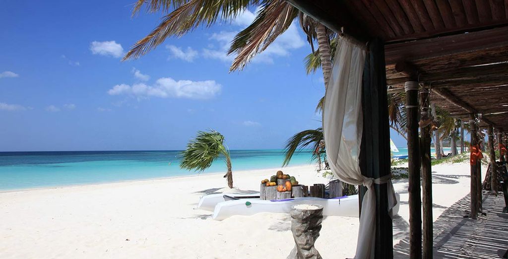 Memories Miramar Habana 4* + EcoResort Cayo Levisa 4*