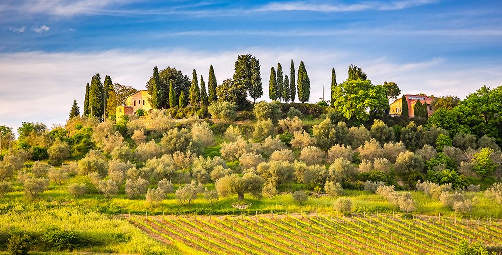 Villa Le Maschere 5*