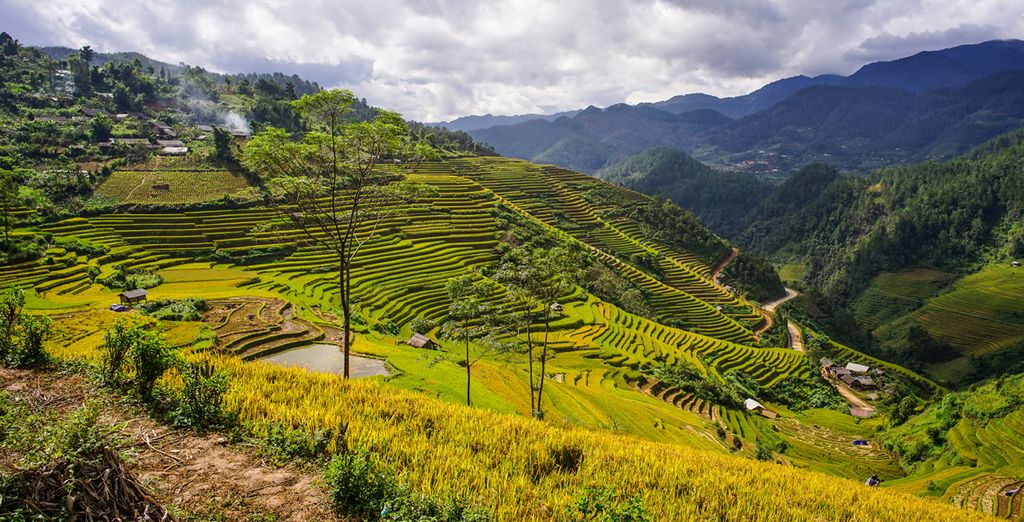 Il meglio del Vietnam in libertà con estensione a Sapa