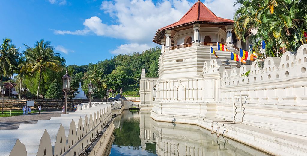 Alla scoperta dello Sri Lanka in tour di 8 o 10 notti