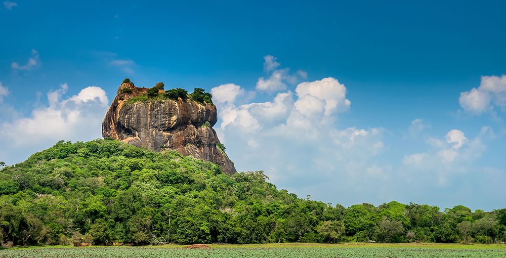 Alla scoperta dello Sri Lanka in tour di 8 o 10 notti