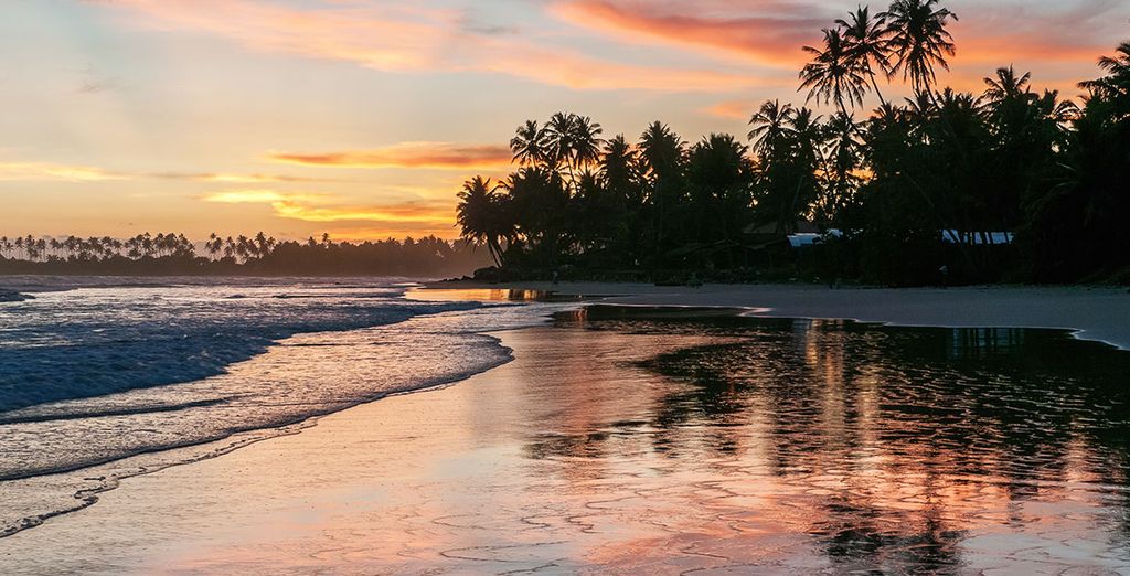 Alla scoperta dello Sri Lanka in tour di 8 o 10 notti