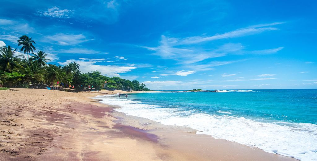 Alla scoperta dello Sri Lanka in tour di 8 o 10 notti