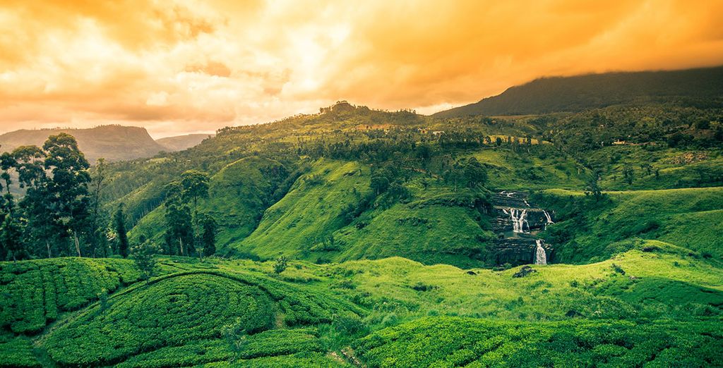 Alla scoperta dello Sri Lanka in tour di 8 o 10 notti