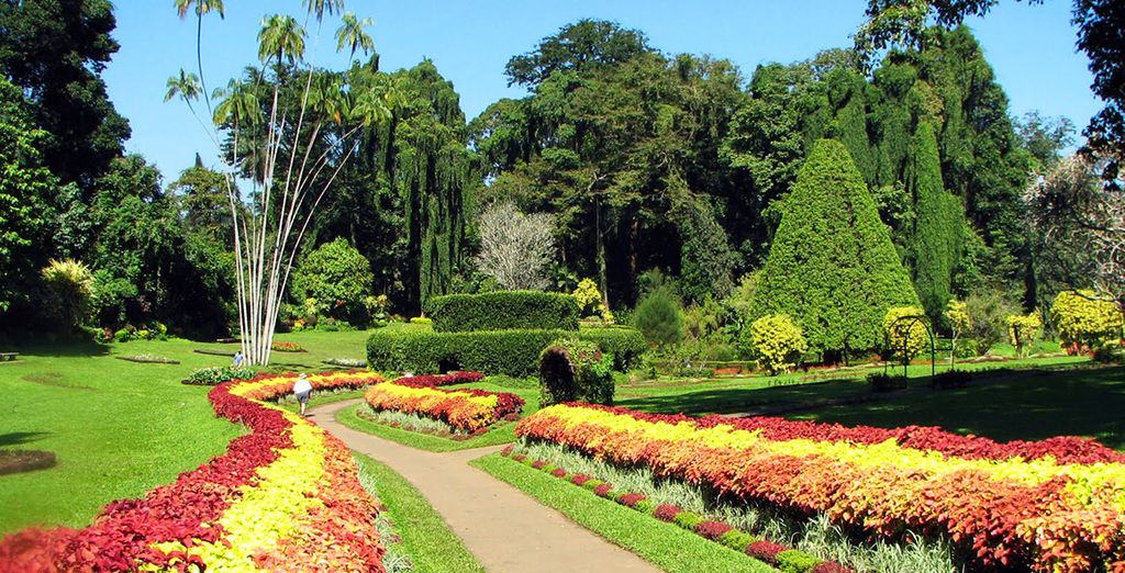 Alla scoperta dello Sri Lanka in tour di 8 o 10 notti