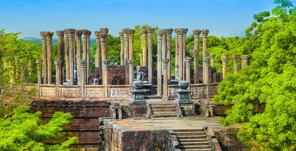Alla scoperta dello Sri Lanka in tour di 8 o 10 notti
