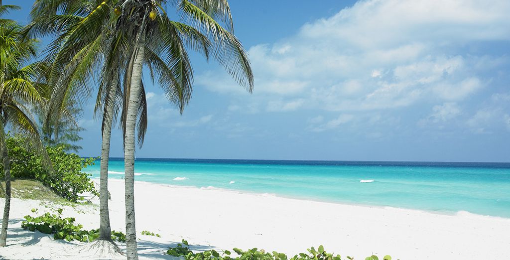 Casa Particular a L'Avana + Melià Las Americas 5* - Adults Only
