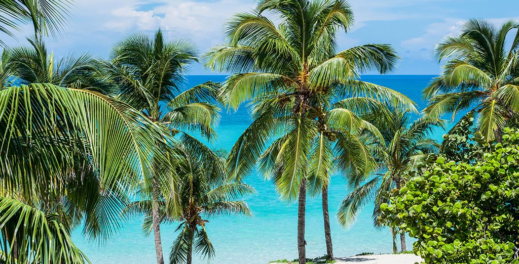 Palacio Cueto 5* + Melia Internacional Varadero 5*