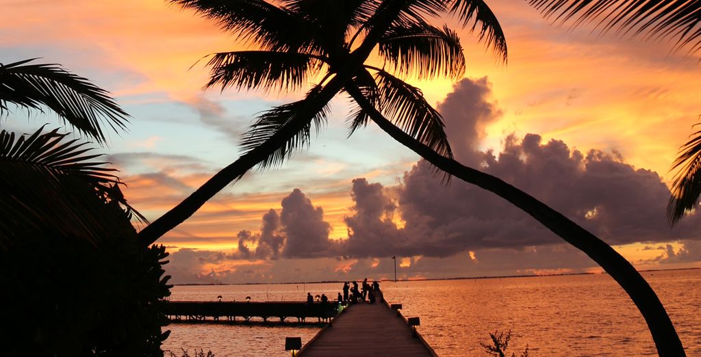 Canareef Resort Maldives 4* + possibile estensione a Dubai
