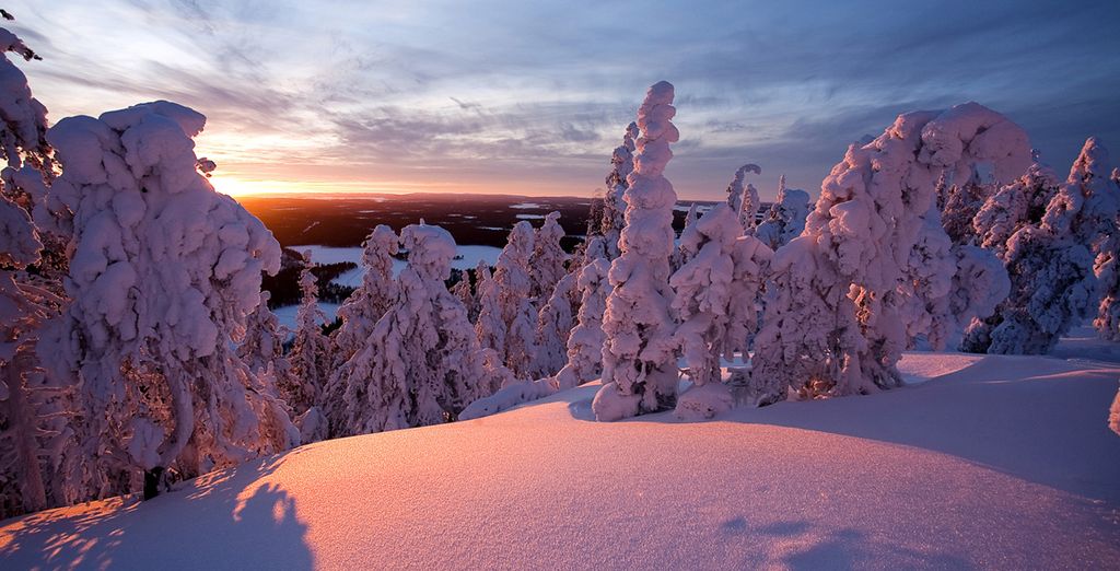 Finlandia d'Autore
