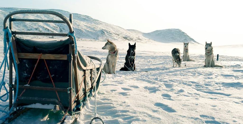 Finlandia d'Autore