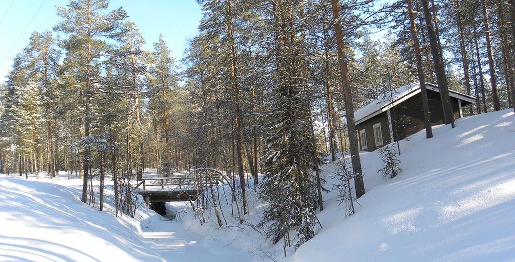 Finlandia d'Autore