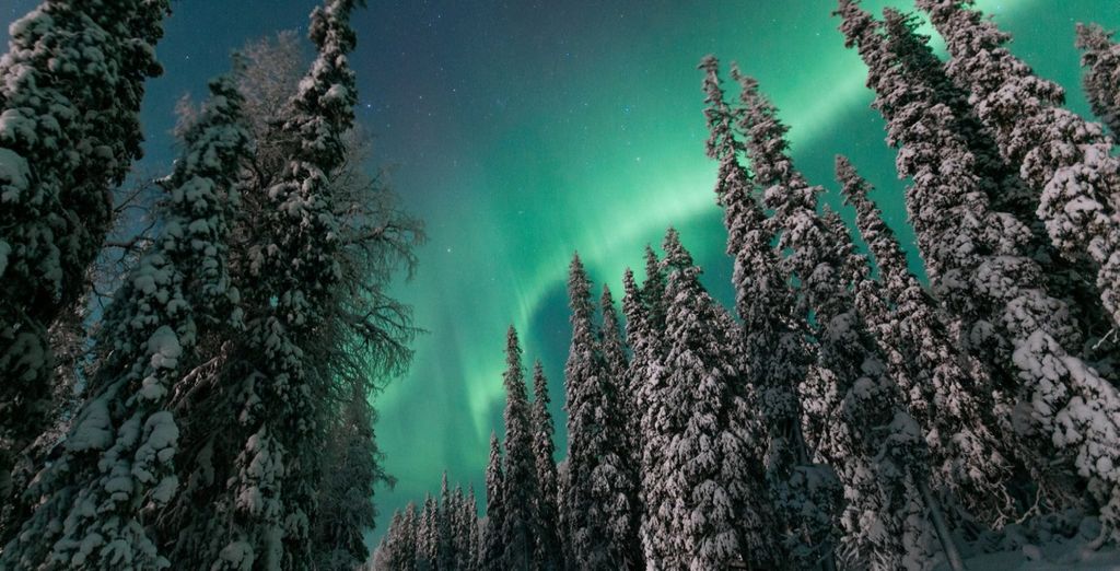 Finlandia d'Autore