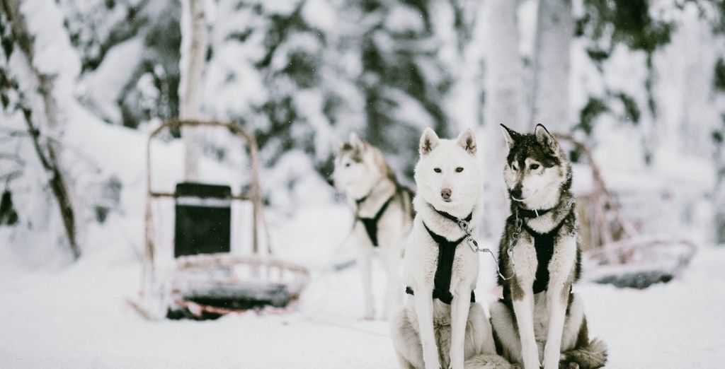 Finlandia d'Autore