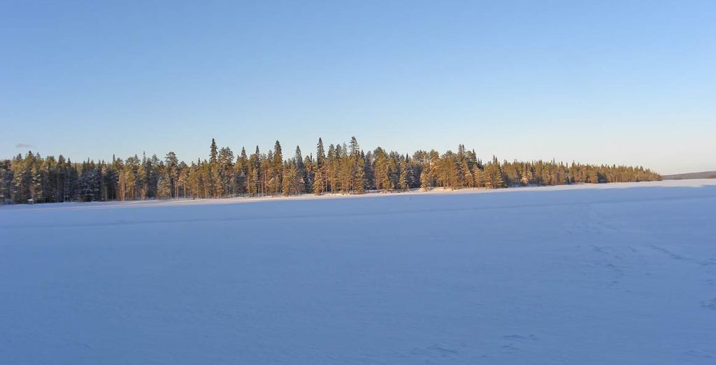 Finlandia d'Autore