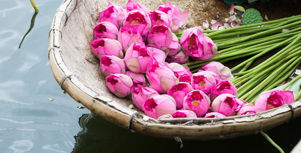 Tour Vietnam con estensione mare a Phu Quoc