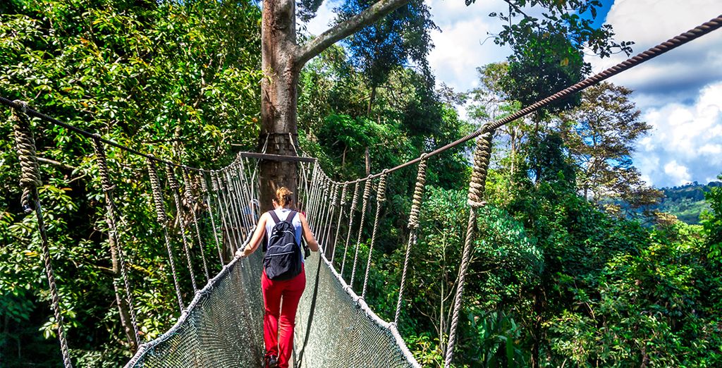 Tour Borneo malese Classico