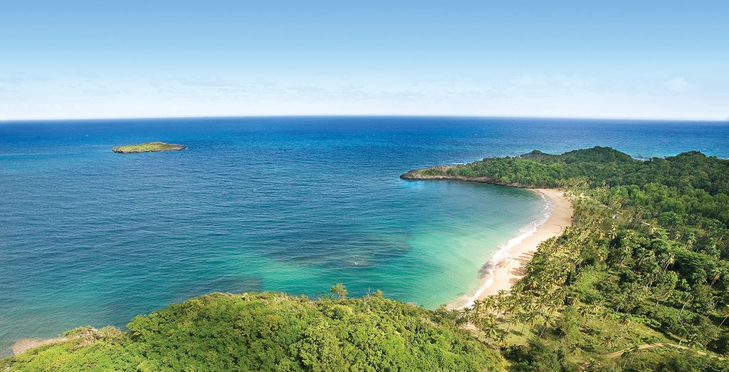 Grand Paradise Samana 4*