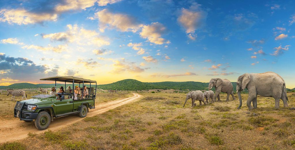 Circuito Big Five in Sudafrica