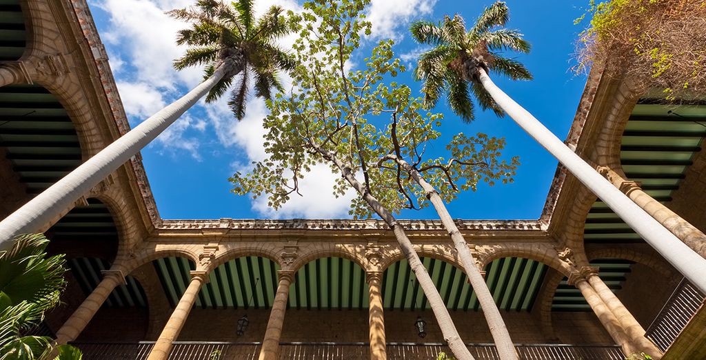 Tour di Cuba in Casa Particular + Paradisus Los Cayos 5*