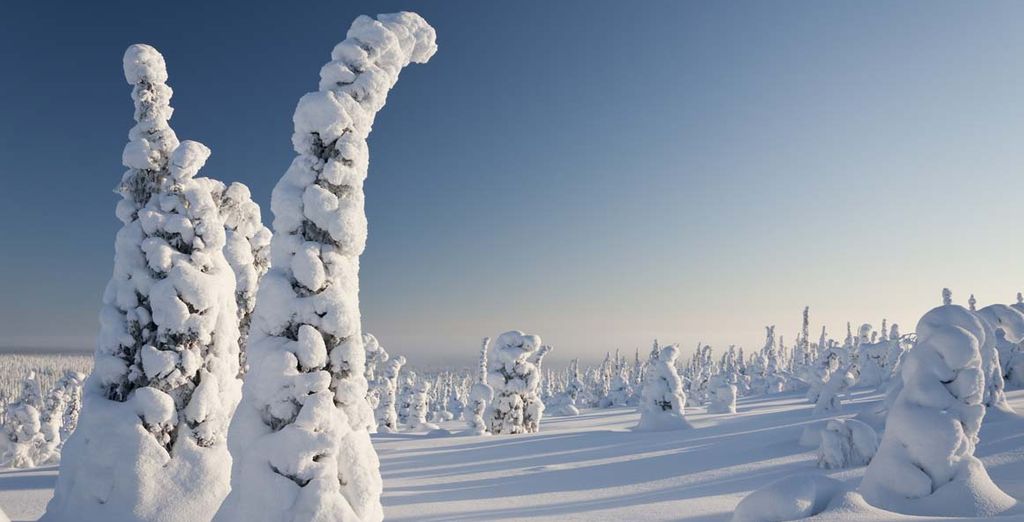 In Lapponia nella terra di Babbo Natale
