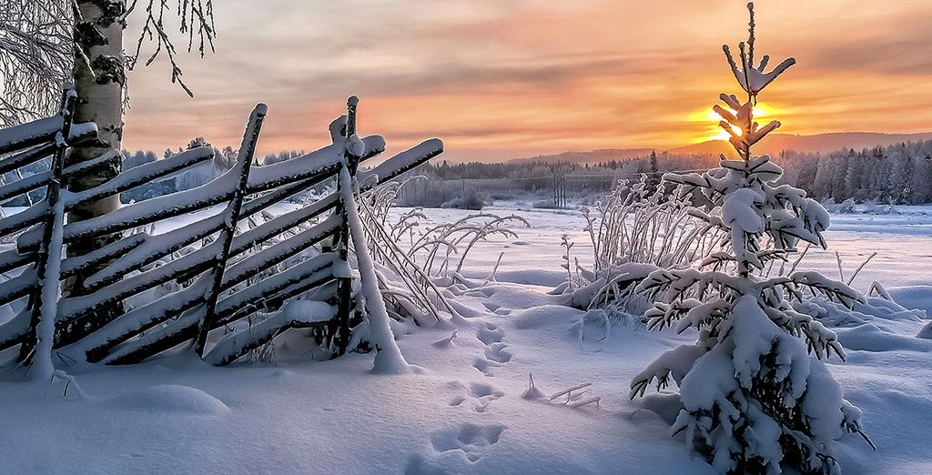 In Lapponia nella terra di Babbo Natale