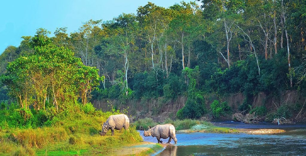 Tour privato del Nepal 