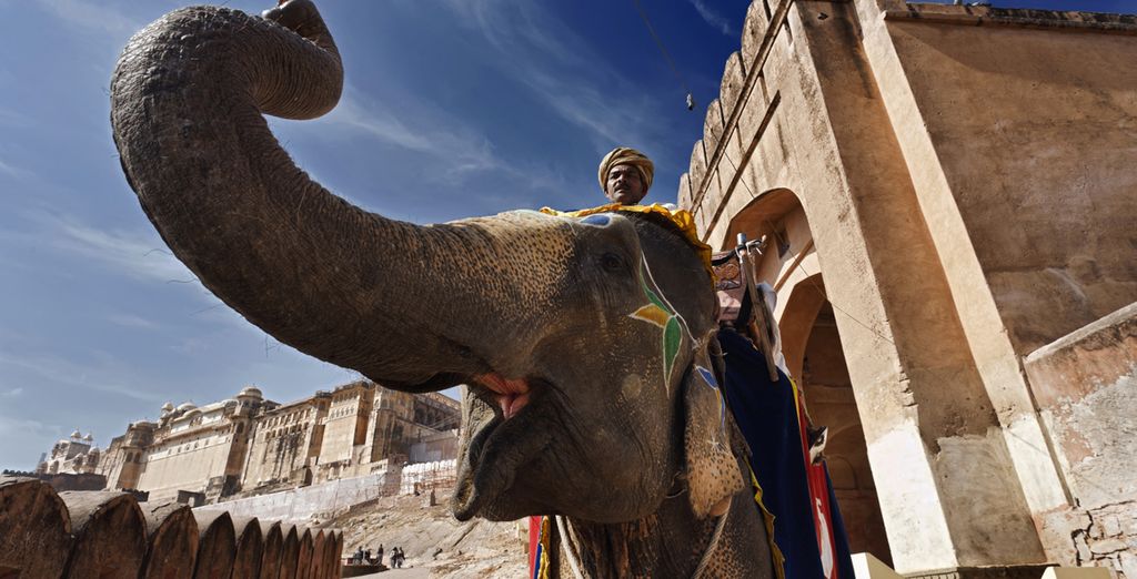 Triangolo d'Oro & Varanasi con possibile estensione a Dubai