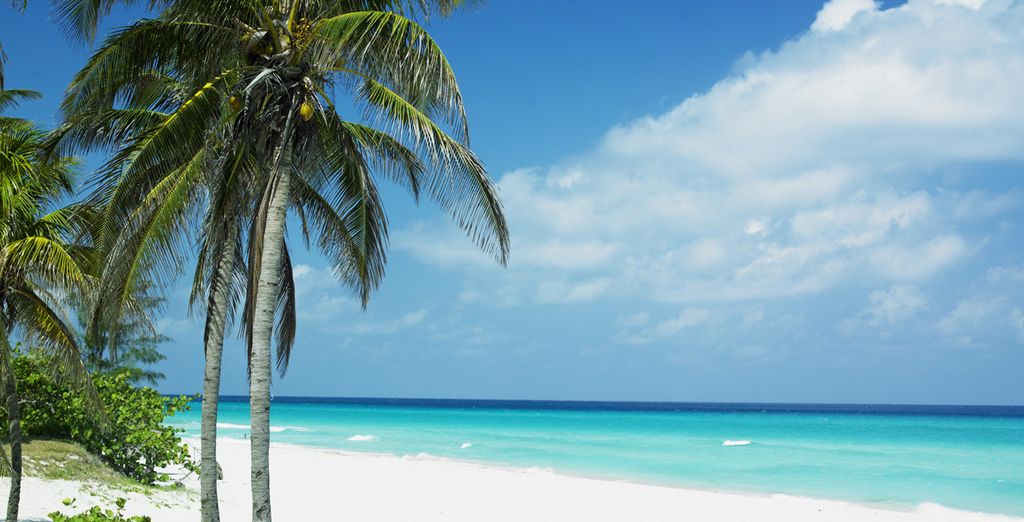 Hotel Nacional de Cuba L'Avana 4*S + Iberostar Bella Vista Varadero 5*