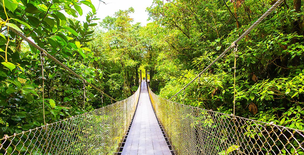 Autotour Costa Rica con possibile estensione mare a Papagayo