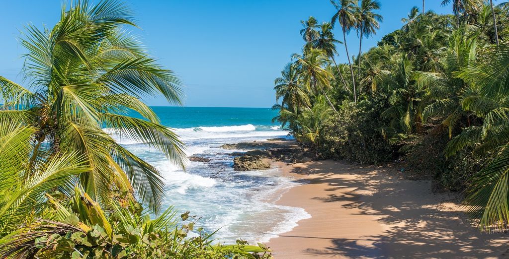 Autotour Costa Rica con possibile estensione mare a Papagayo