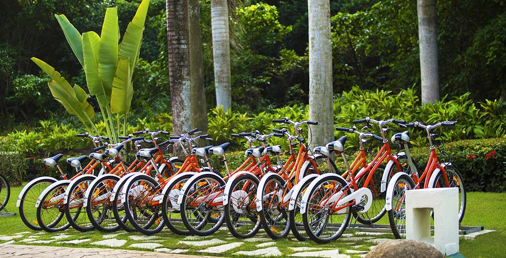 Paradisus Punta Cana Resort 5*