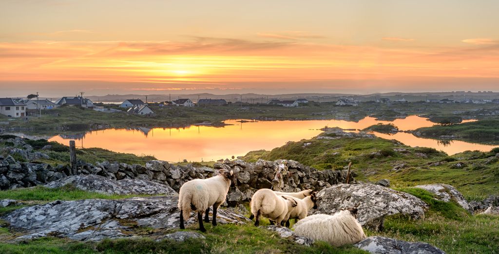 Tour delle meraviglie di Irlanda