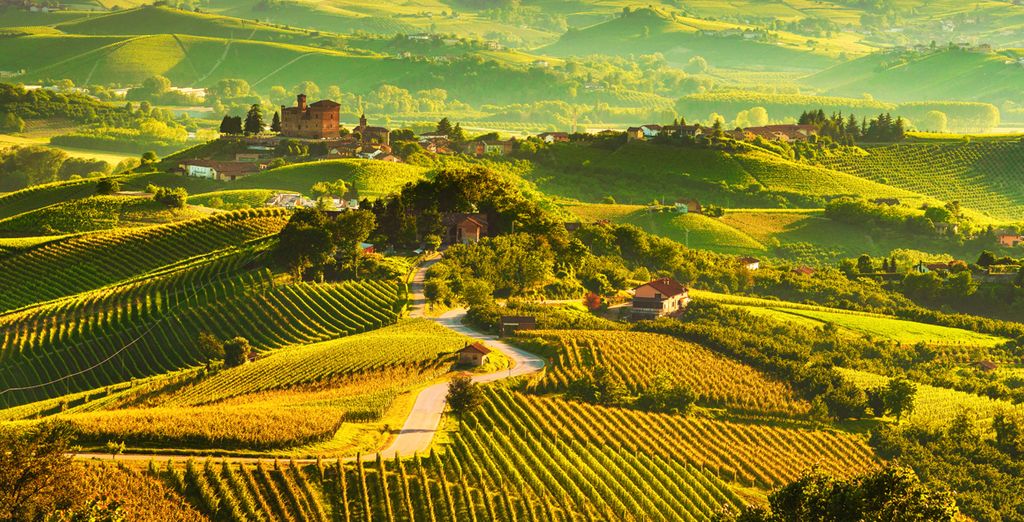 Tour lungo la Grande Strada dei Vini dal Piemonte alle Cinque Terre