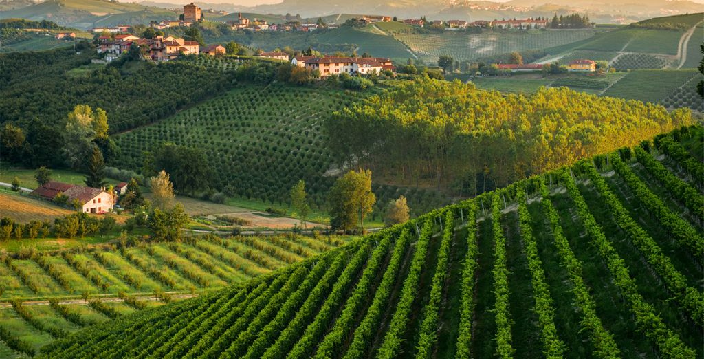Tour lungo la Grande Strada dei Vini dal Piemonte alle Cinque Terre
