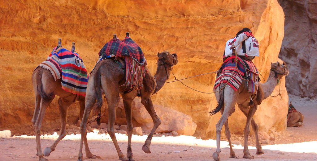 Petra, Wadi Rum in campo tendato e Mar Morto con guida parlante italiano